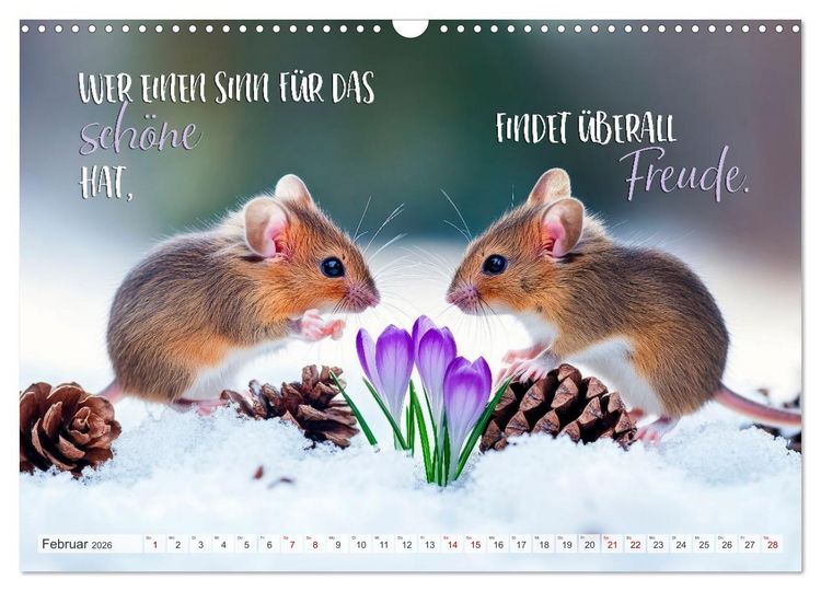 Produktbild: Ein tierisch gutes Jahr (Wandkalender 2026 DIN A3 quer), CALVENDO Monatskalender