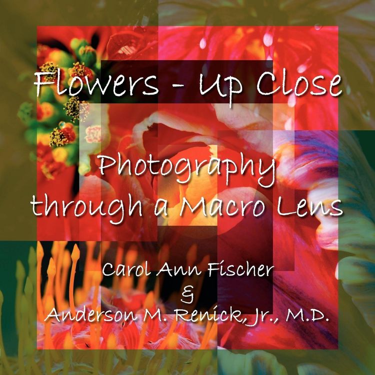 Produktbild: Flowers - Up Close