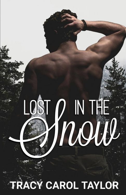 Produktbild: Lost in the Snow