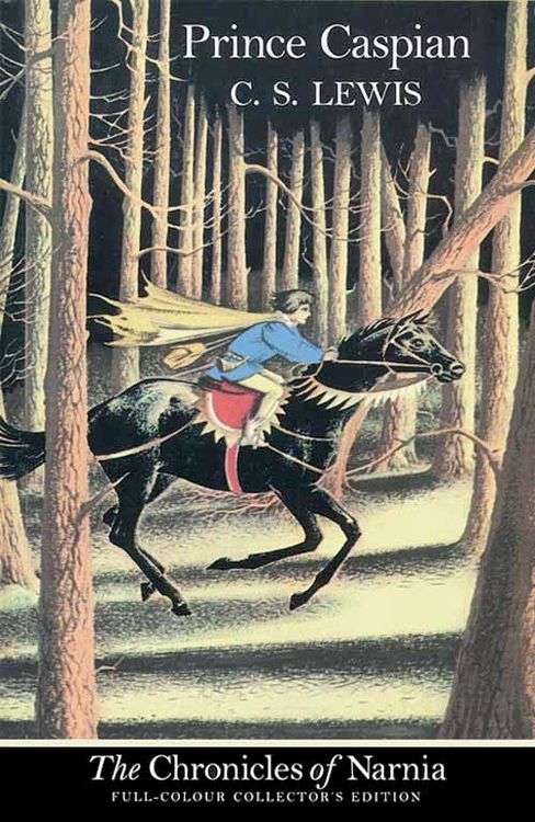 Produktbild: Prince Caspian B Format Colour