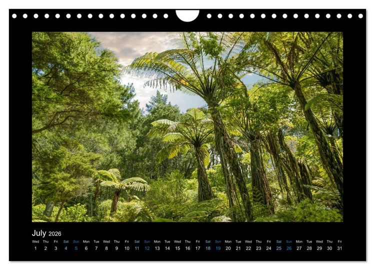 Produktbild: New Zealand - The most beautiful places (Wall Calendar 2026 DIN A4 landscape), CALVENDO 12 Month Wall Calendar