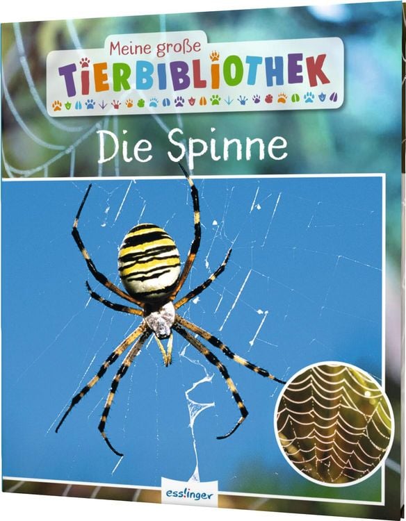 Produktbild: Meine gro&szlig;e Tierbibliothek: Die Spinne