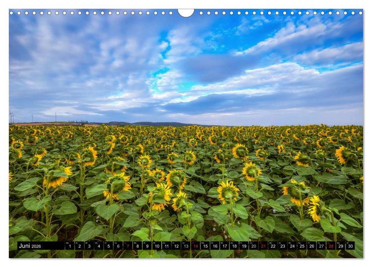 Produktbild: Zeit f&uuml;r Sonnenblumen (Wandkalender 2026 DIN A3 quer), CALVENDO Monatskalender