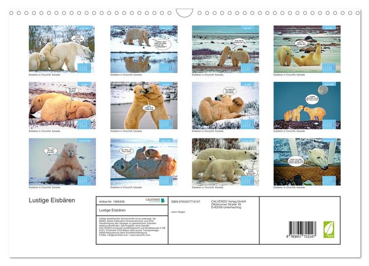 Produktbild: Lustige Eisb&auml;ren (Wandkalender 2026 DIN A3 quer), CALVENDO Monatskalender