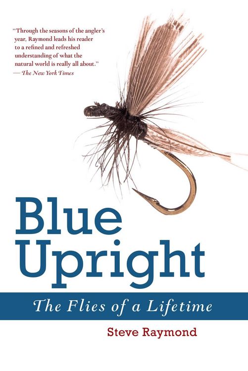 Produktbild: Blue Upright