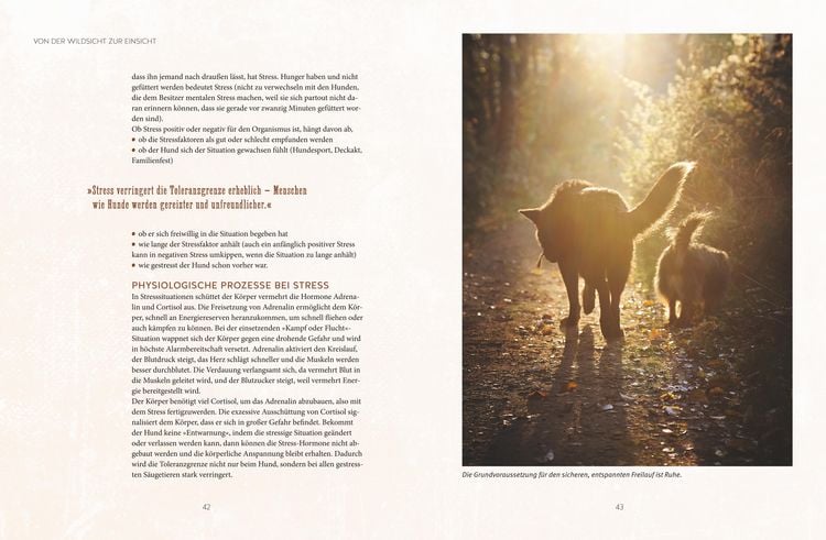 Produktbild: Leinen los! Freilauftraining f&uuml;r den Hund