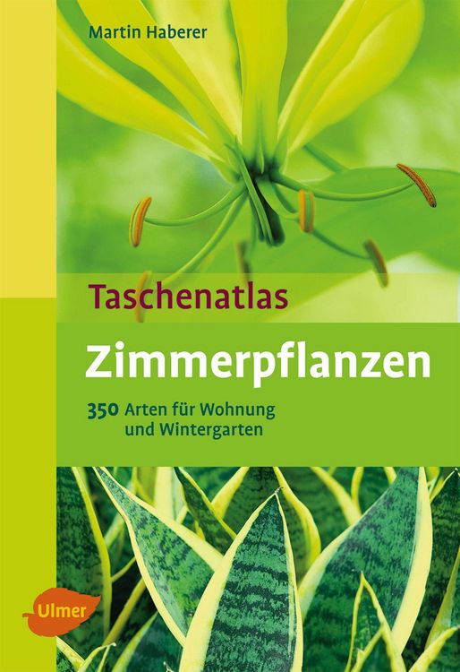 Produktbild: Zimmerpflanzen