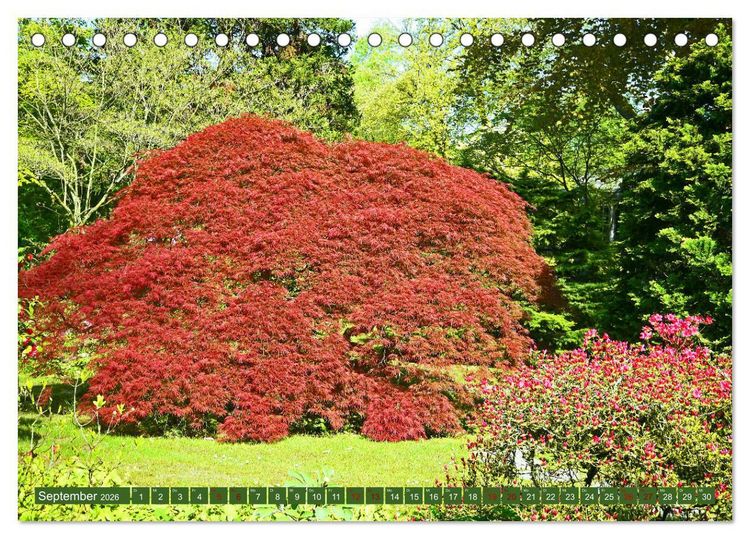 Produktbild: Japanischer Garten Leverkusen (Tischkalender 2026 DIN A5 quer), CALVENDO Monatskalender
