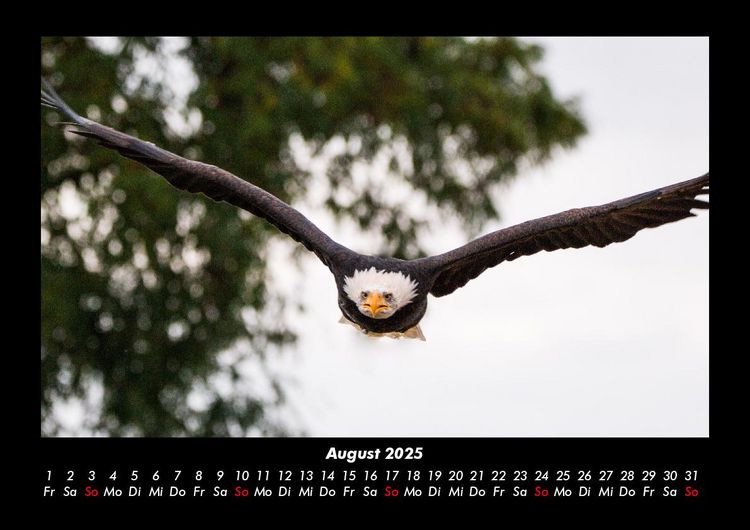 Produktbild: Adler 2025 Fotokalender DIN A3