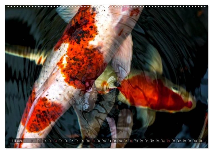 Produktbild: Nishikigoi &ndash; Koikarpfen in ihrer Welt (Wandkalender 2027 DIN A2 quer), CALVENDO Monatskalender