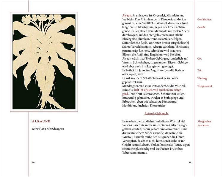 Produktbild: Das Kr&auml;uterbuch des Johann Christoph Ende
