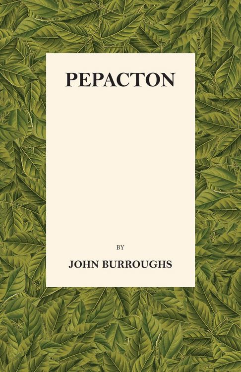Produktbild: Pepacton