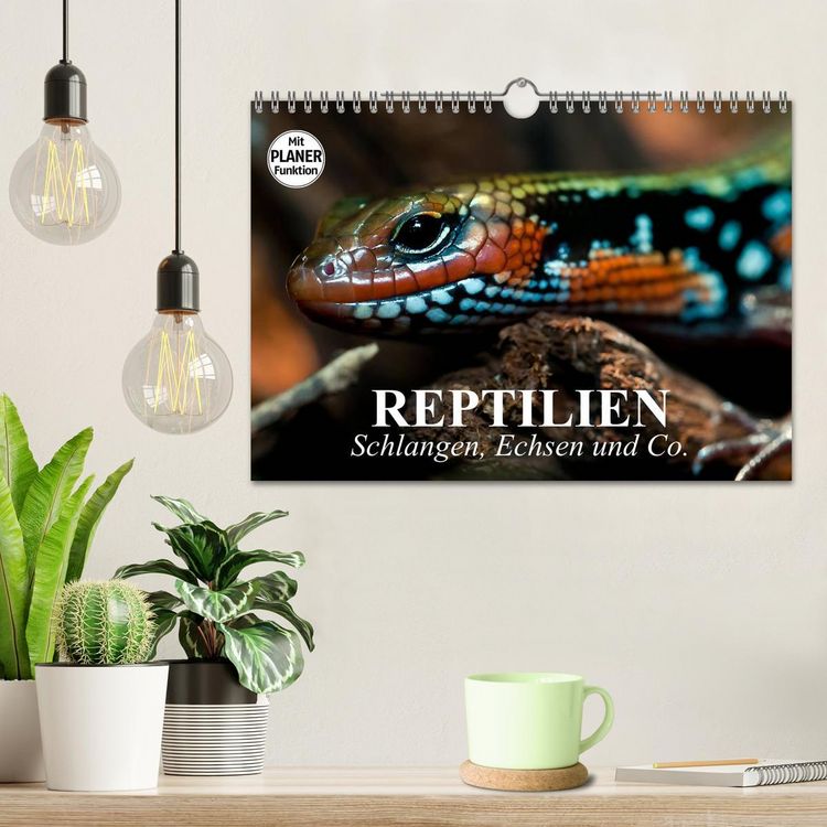 Produktbild: Reptilien. Schlangen, Echsen und Co. (Wandkalender 2026 DIN A4 quer), CALVENDO Monatskalender