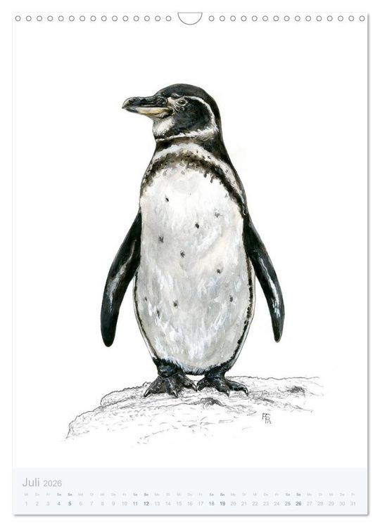 Produktbild: Pinguine - 13 Illustrationen (Wandkalender 2026 DIN A3 hoch), CALVENDO Monatskalender