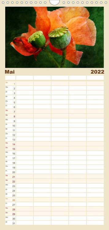 Produktbild: Familienplaner Mohnsch&ouml;nheiten (Wandkalender 2022 , 21 cm x 45 cm, hoch)