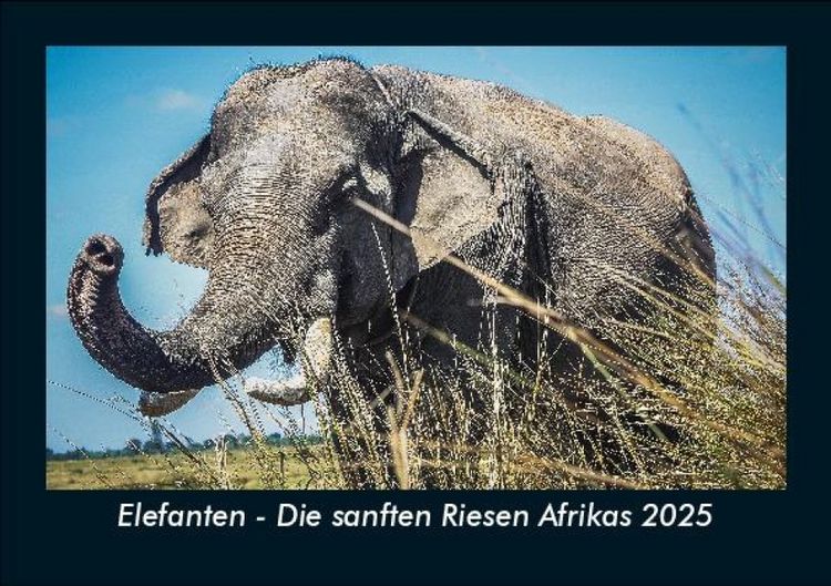 Produktbild: Elefanten - Die sanften Riesen Afrikas 2025 Fotokalender DIN A5
