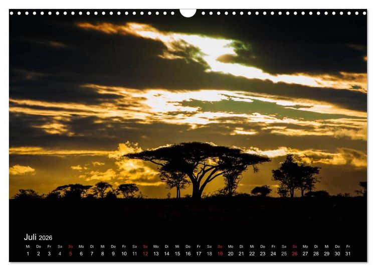 Produktbild: Wildes Afrika (Wandkalender 2026 DIN A3 quer), CALVENDO Monatskalender