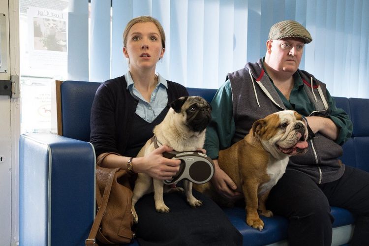 Produktbild: Ein Mops zum Verlieben