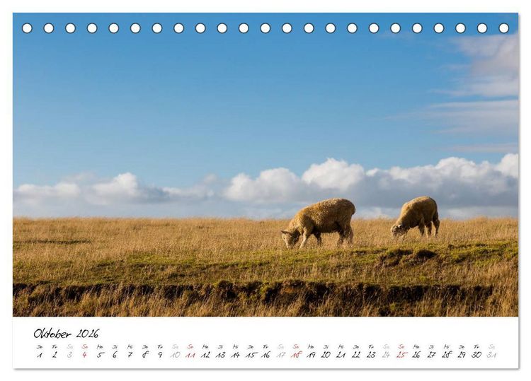 Produktbild: Neuseeland - Streifzug &uuml;ber die Nordinsel / CH-Version (Tischkalender 2026 DIN A5 quer), CALVENDO Monatskalender