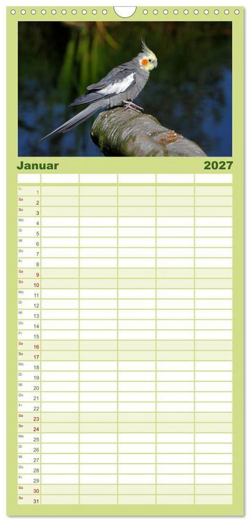 Produktbild: Familienplaner 2027 - Nymphensittiche mit 5 Spalten (Wandkalender, 21 x 45 cm) CALVENDO