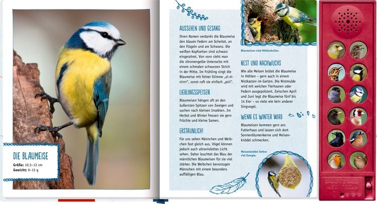Produktbild: V&ouml;gel in unserem Garten