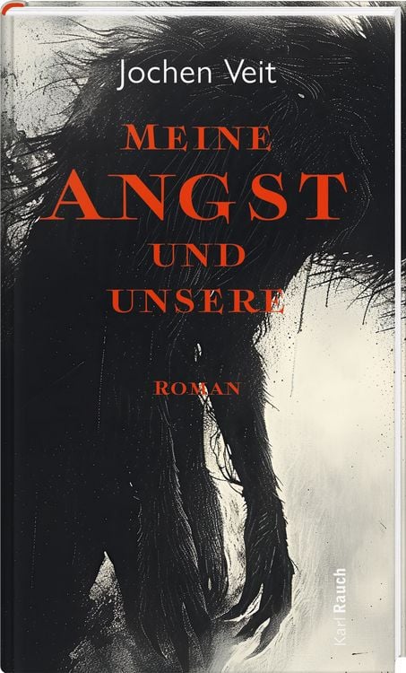 Produktbild: Meine Angst und unsere