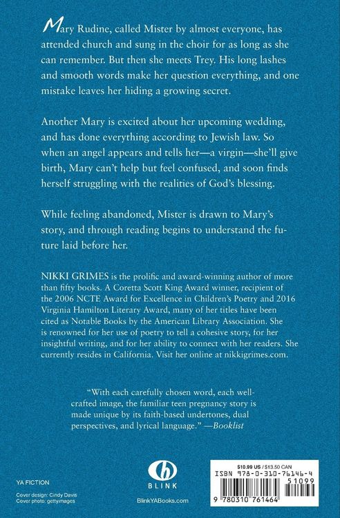 Produktbild: A Girl Named Mister