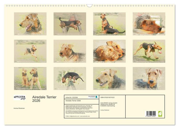 Produktbild: Airedale Terrier 2026 (Wandkalender 2026 DIN A2 quer), CALVENDO Monatskalender