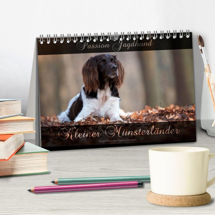 Produktbild: Passion Jagdhund - Kleiner M&uuml;nsterl&auml;nder (Tischkalender 2026 DIN A5 quer), CALVENDO Monatskalender