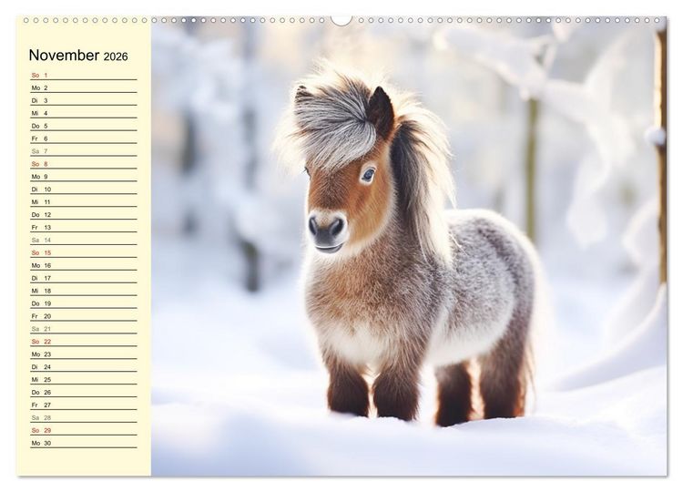 Produktbild: Kleine Pferde. Mini-Ponys zum verlieben (hochwertiger Premium Wandkalender 2026 DIN A2 quer), Kunstdruck in Hochglanz