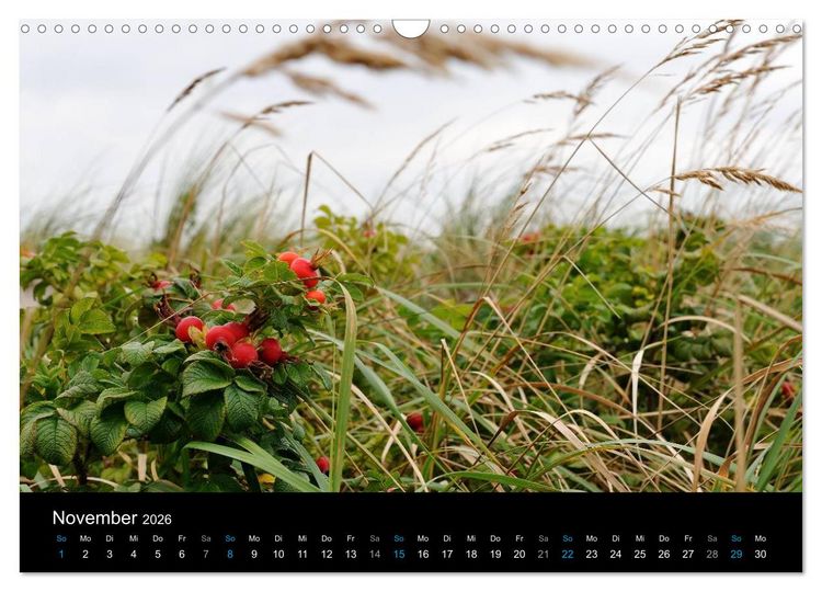 Produktbild: Ostseestrand Graal-M&uuml;ritz (Wandkalender 2026 DIN A3 quer), CALVENDO Monatskalender