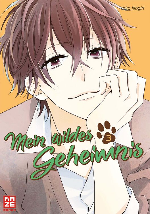 Produktbild: Mein wildes Geheimnis &ndash; Band 3