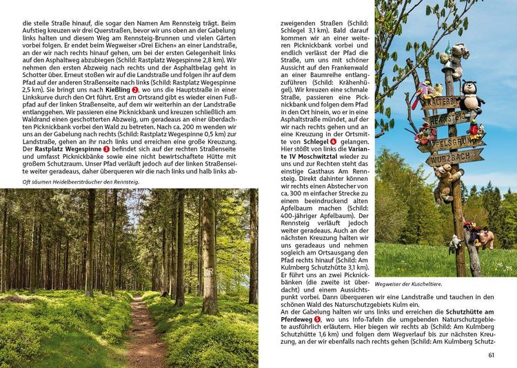 Produktbild: ROTHER Wanderf&uuml;hrer Rennsteig