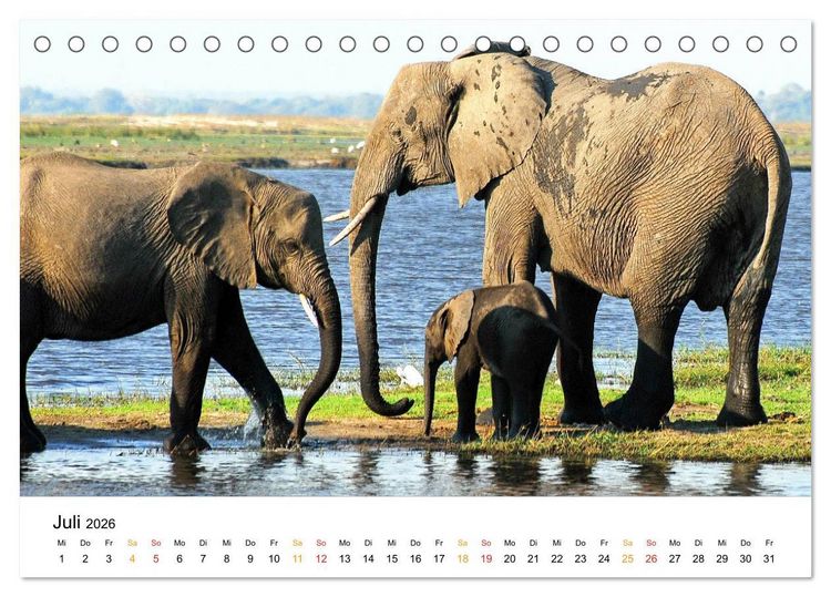 Produktbild: Elefanten Impressionen (Tischkalender 2026 DIN A5 quer), CALVENDO Monatskalender
