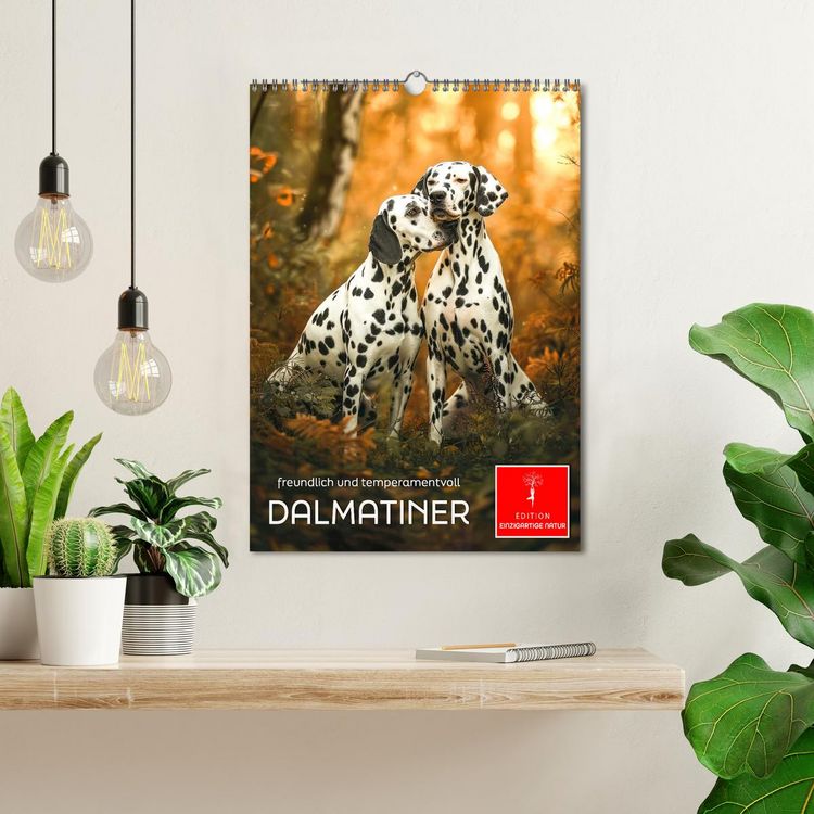 Produktbild: Dalmatiner - freundlich und temperamentvoll (Wandkalender 2026 DIN A3 hoch), CALVENDO Monatskalender