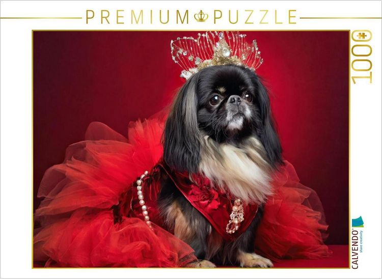 Produktbild: CALVENDO Puzzle Ein Motiv aus dem Kalender Kleine Hunde - Gro&szlig;e Diven | 1000 Teile Lege-Gr&ouml;&szlig;e 64x48cm Foto-Puzzle f&uuml;r gl&uuml;ckliche Stunden
