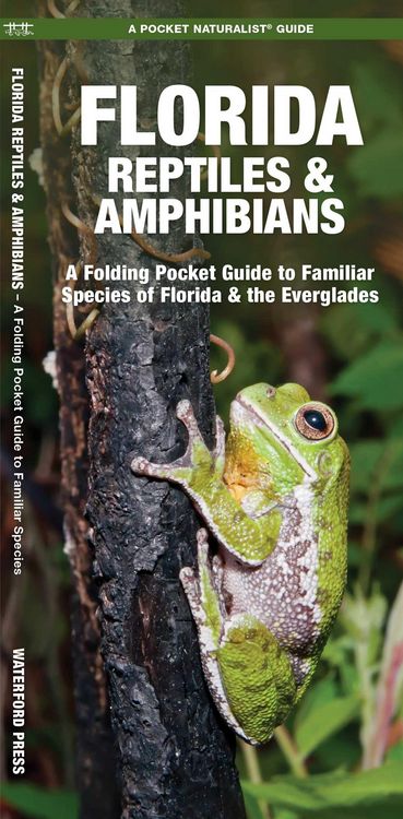 Produktbild: Florida Reptiles & Amphibians