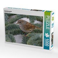 Produktbild: CALVENDO Puzzle Heckenbraunelle 1000 Teile Lege-Gr&ouml;&szlig;e 64 x 48 cm Foto-Puzzle Bild von Dieter-M. Wilczek