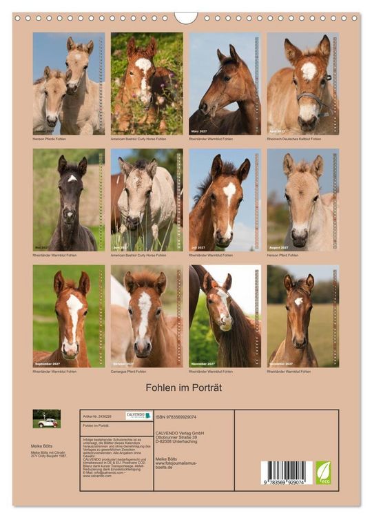 Produktbild: Fohlen im Portr&auml;t (Wandkalender 2027 DIN A3 hoch), CALVENDO Monatskalender