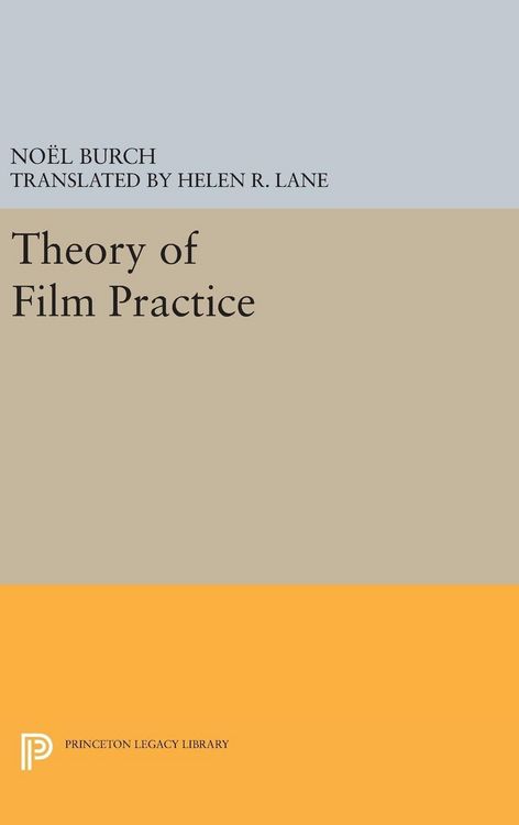 Produktbild: Theory of Film Practice