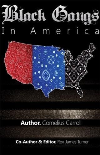 Produktbild: Black Gangs in America