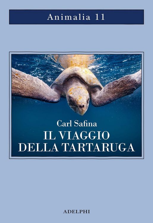 Produktbild: Il viaggio della tartaruga. Alla ricerca dell'ultimo dinosauro