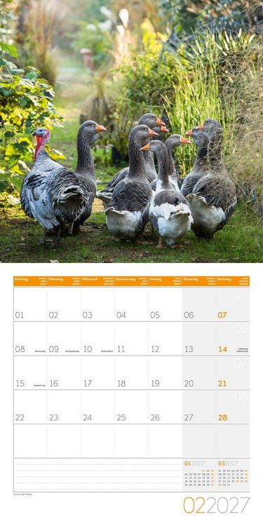 Produktbild: Landleben Kalender 2027 - 30x30 - Art12