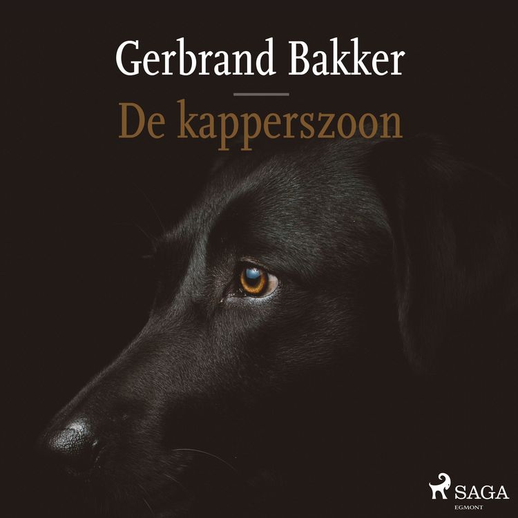 Produktbild: De kapperszoon