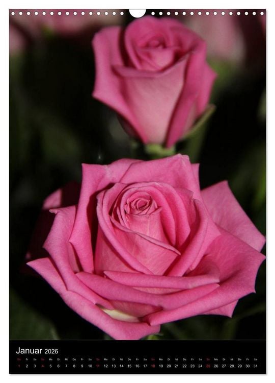 Produktbild: Zauberhafte Rosen (Wandkalender 2026 DIN A3 hoch), CALVENDO Monatskalender