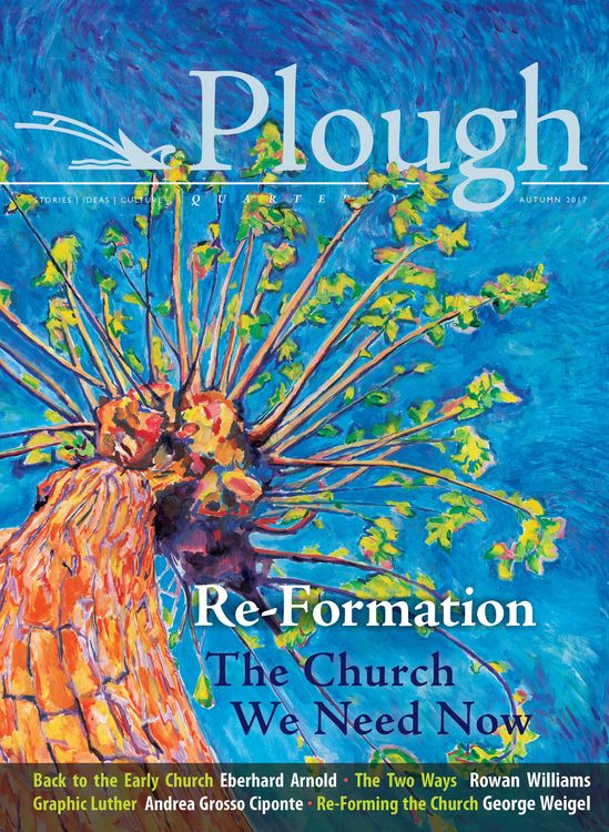 Produktbild: Plough Quarterly No. 14 - Re-Formation