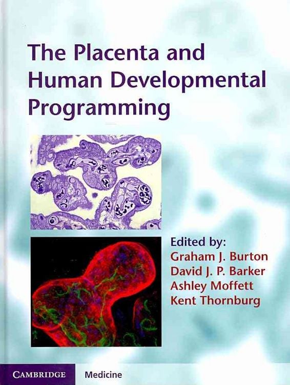 Produktbild: The Placenta and Human Developmental Programming