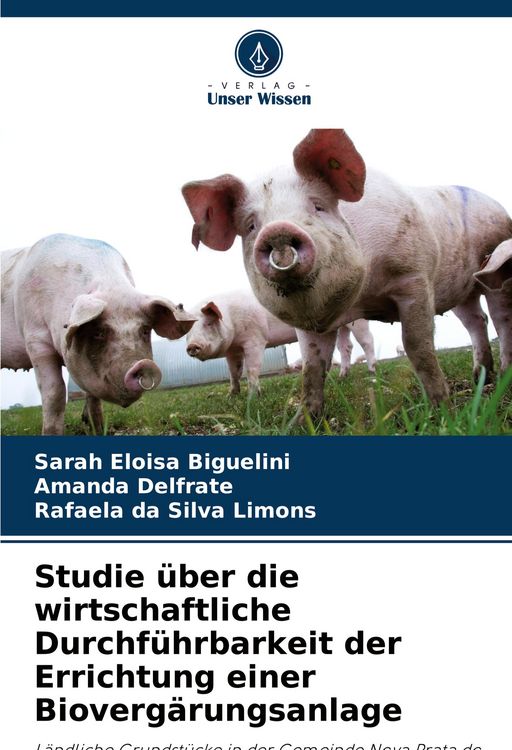 Produktbild: Studie &uuml;ber die wirtschaftliche Durchf&uuml;hrbarkeit der Errichtung einer Bioverg&auml;rungsanlage