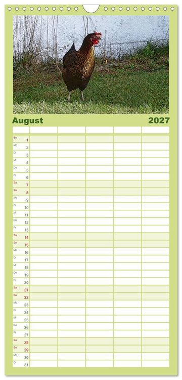 Produktbild: Familienplaner 2027 - Die H&uuml;hner sind los! mit 5 Spalten (Wandkalender, 21 x 45 cm) CALVENDO