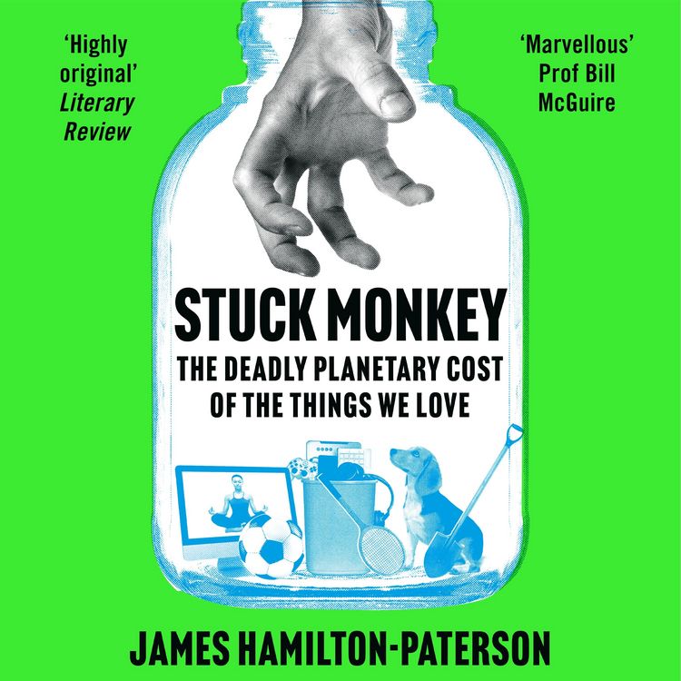 Produktbild: Stuck Monkey